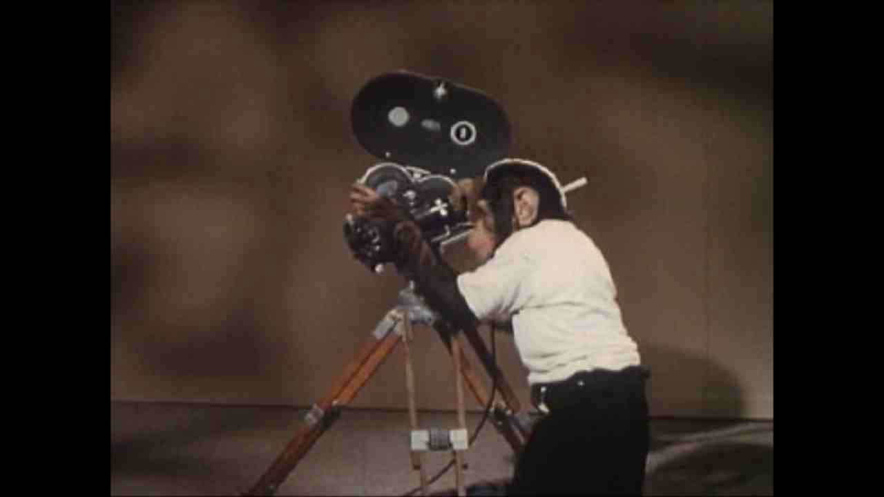 Chimpanzé cameraman des archives Prelinger