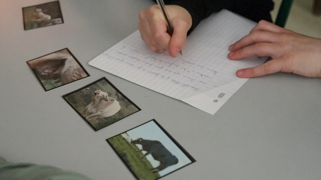 Un enfant déplace les cartes du corpus